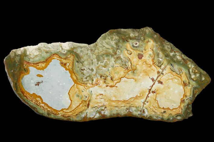 Polished, Rocky Butte Picture Jasper Slab - Oregon #184709